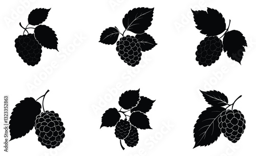 Mulberry silhouette vector