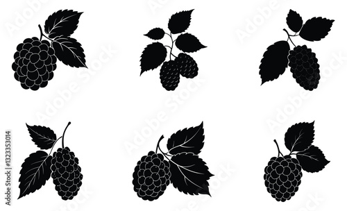 Mulberry silhouette vector