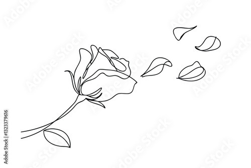 Single line Rose Drawing, Petals Falling, Elegant, Minimalist, Art, Line Art, Botanical Illustration,