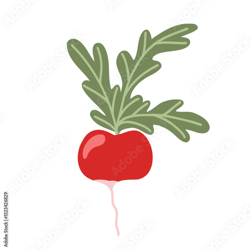 Pink radish with green top isolated on white background. Vector hand drawn illustration. Fresh and healthy home garden vegetable product. Farm food icon for web, print, sticker