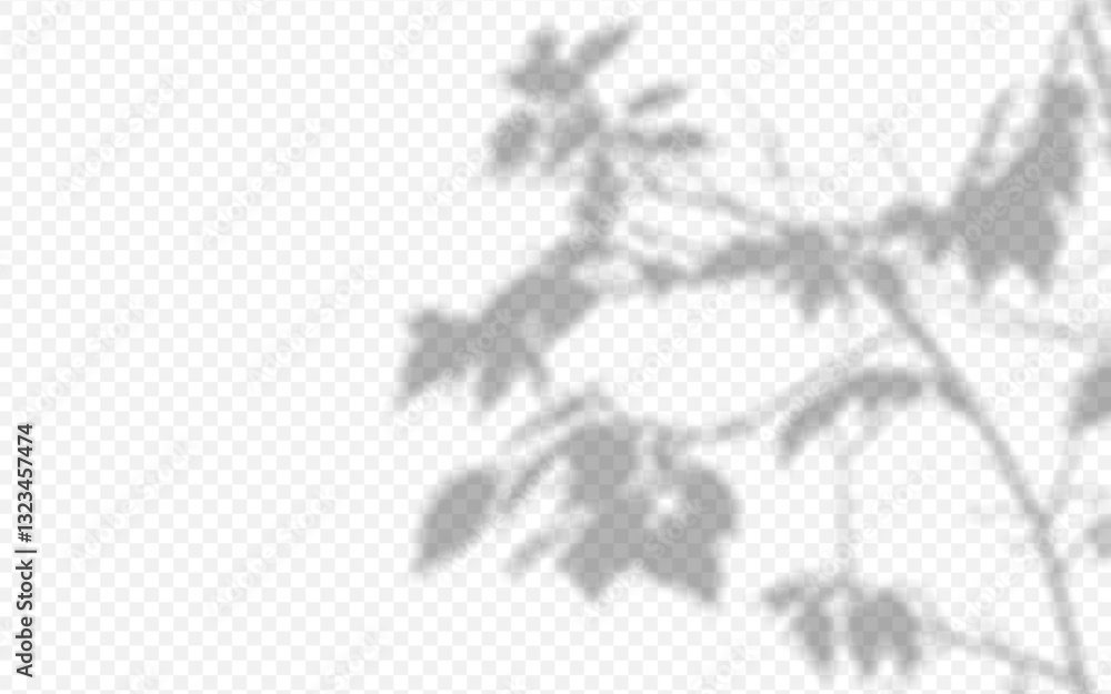 Fototapeta premium Shadow overlay from a tree branch isolated on a transparent background.