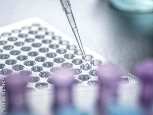 Close-up of pipette placing liquid into clear multi-well plate for laboratory testing. photo