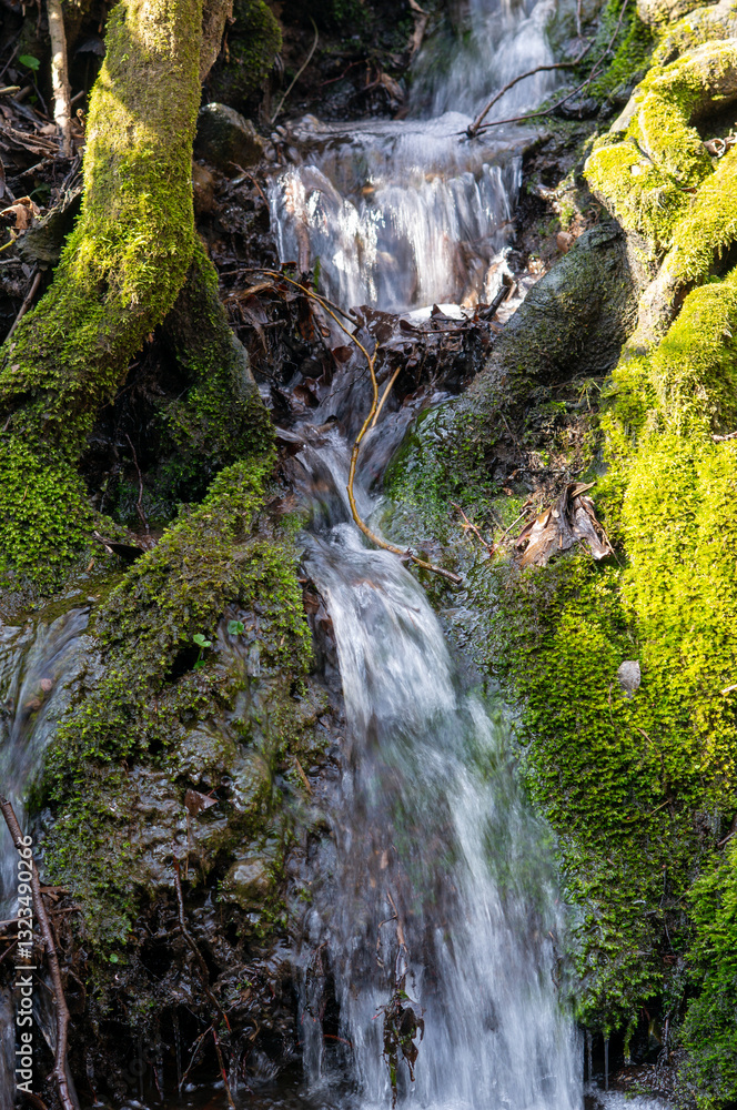waterfall in the forest with green moss in spring spiritual relaxation vertical