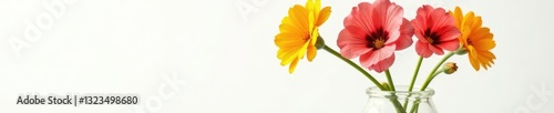Fresh isolated calibrachoa flowers in a glass vase, vase, botanical, flowers