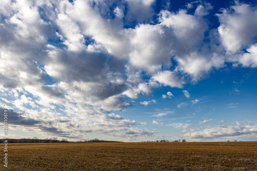 wheat field and blue sky wheat field and blue sky