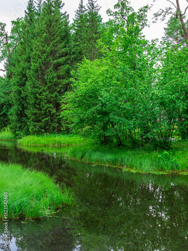 River with trees on either side