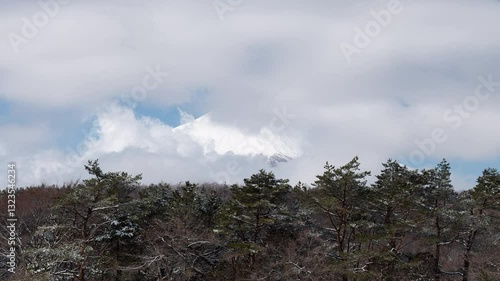 Wallpaper Mural 積雪後に森林越しの雲から現れる富士山のタイムラプス映像（フィックス） Torontodigital.ca