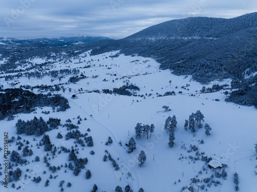 Winter landscape