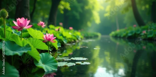 Lush greenery surrounds a serene pond with lotus flowers blooming in the background, flowers, landscape