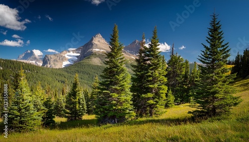 trees on a landscape trapper peak bitterroot mountains darby montana usa