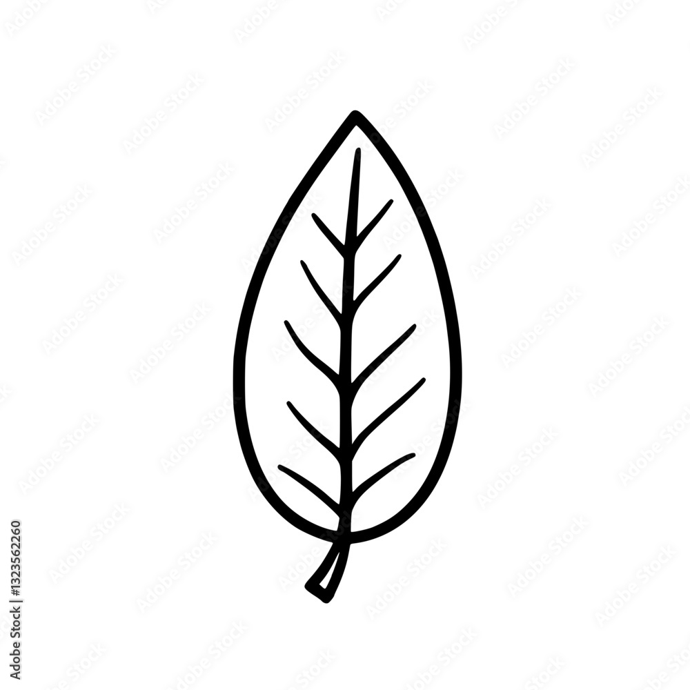 Simple line art icon of a leaf with veins Simple line art icon of a leaf with veins