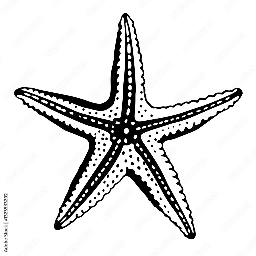 Detailed Starfish Vector Illustration for Nautical and Marine Design Art Detailed Starfish Vector Illustration for Nautical and Marine Design Art