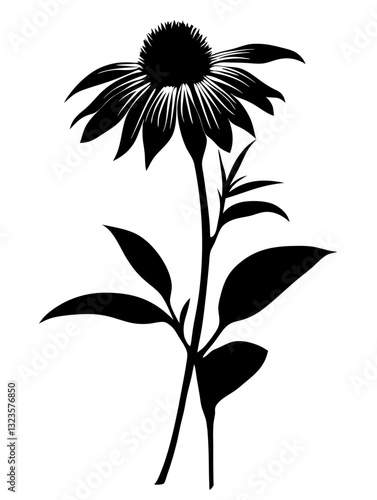 Black Silhouette of Echinacea Flower on Purple Background for Botanical Design