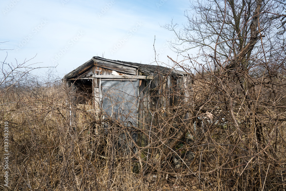 Old house, ruined and abandoned cottage in the bushes.