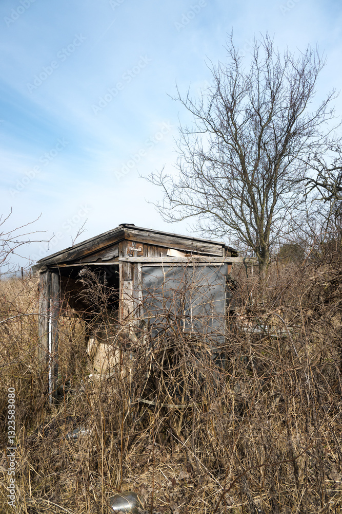 Old house, ruined and abandoned cottage in the bushes.