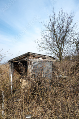 Obraz na płótnie Old house, ruined and abandoned cottage in the bushes.
w salonie