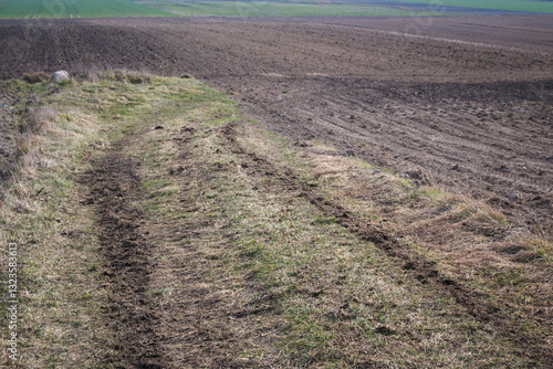 Obraz na płótnie Rural landscape of fields in early spring.
w salonie