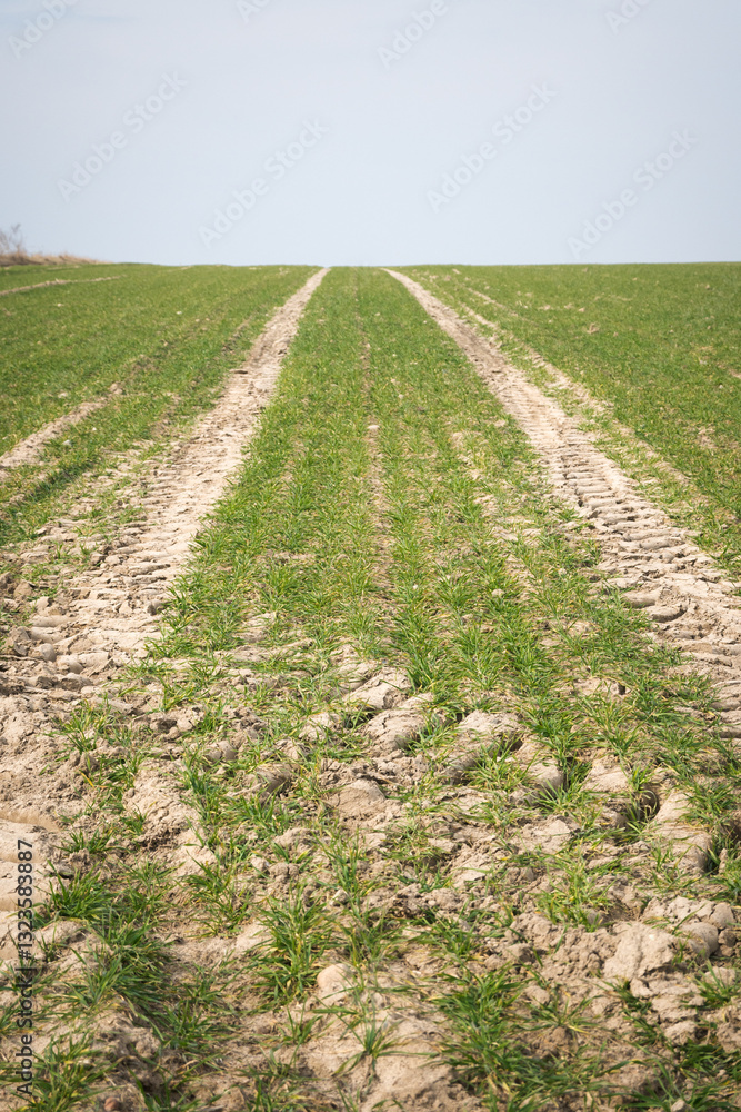 Rural landscape of fields in early spring.