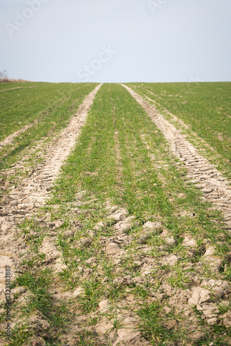 Obraz na płótnie Rural landscape of fields in early spring.
w salonie
