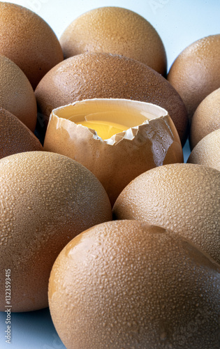 Obraz na płótnie Close-up of Egg yolk in Broken raw chicken eggshell in the among of Fresh chicken egg (Hen egg) on white background. Natural organic fresh eggs for healthy food, use it as your Space for text, Design, w salonie