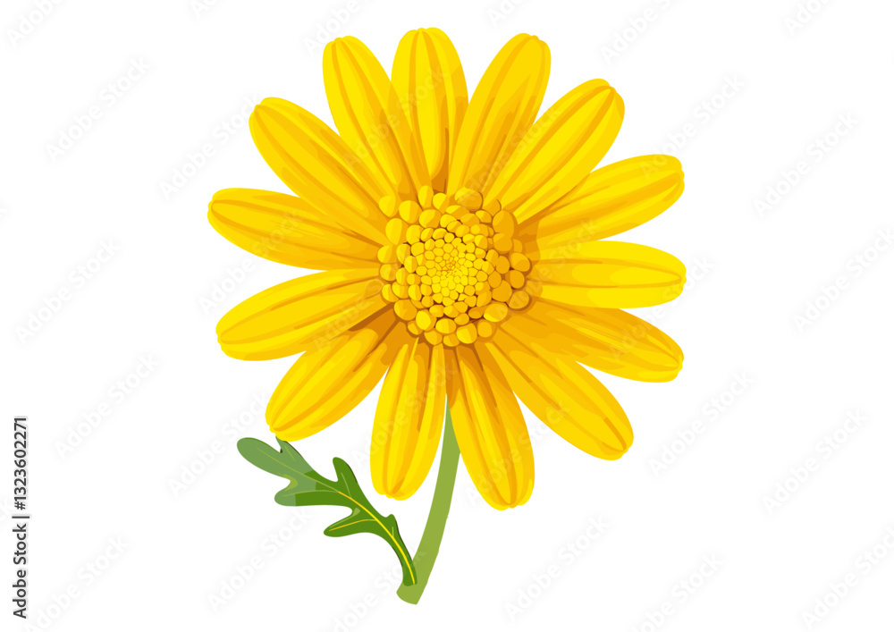 Yellow daisy flower isolated, vector illustration, nature flower, spring daisy, bright petals, beautiful floral design, botanical illustration, isolated flower, vibrant yellow blossom Yellow daisy flower isolated, vector illustration, nature flower, spring daisy, bright petals, beautiful floral design, botanical illustration, isolated flower, vibrant yellow blossom