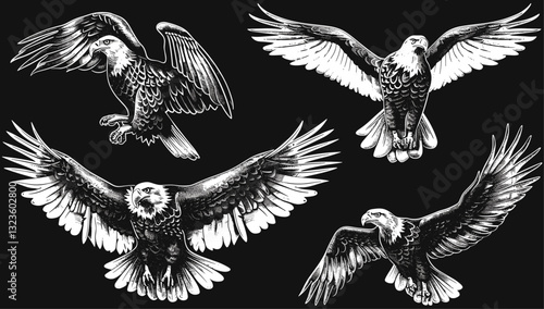 Eagle set vector black and white illustration engrave isolated, wildlife, bird art, nature design, animal sketch, monochrome eagle, flying bird, engraving, isolated eagle, wildlife vector
