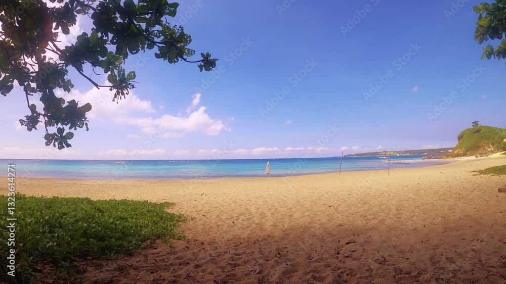 horizontal pane view look out to a peaceful beach from land to ocean horizon with blue water and reflection of sky during good weather day time with tree and bush grass in front