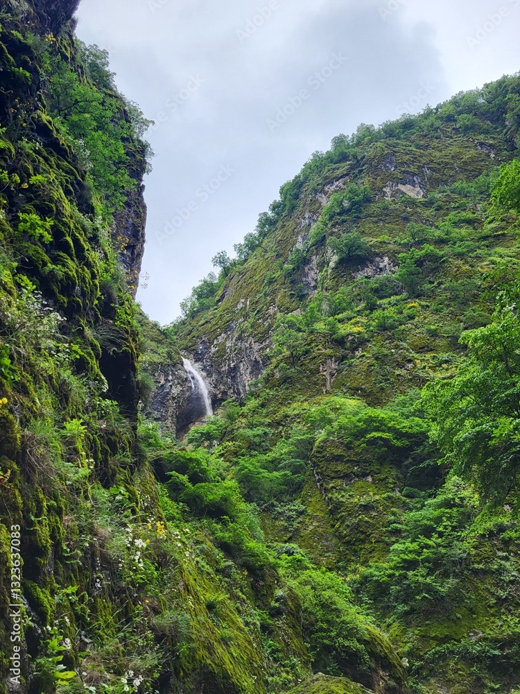 waterfall in the mountains waterfall in the mountains