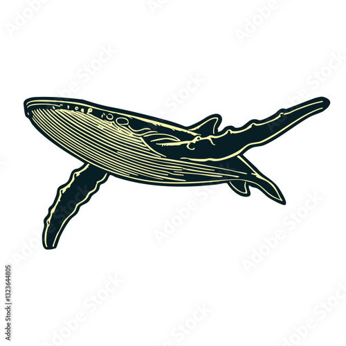 Whale