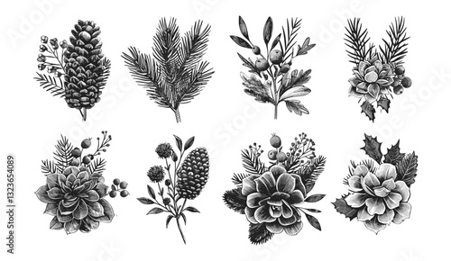 Floral Christmas bouquets, vector winter set, evergreen, succulents, flowers, cones, leaves, berries, black and white botanical illustration, vintage design, holiday decoration
