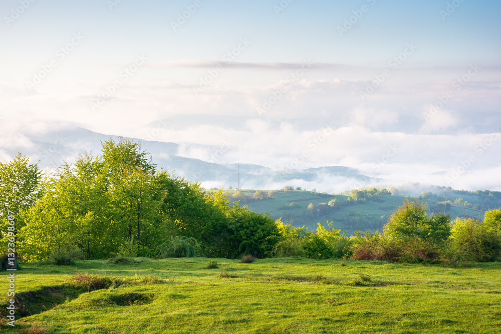 scenic view of nature in fog and clouds. sunny morning. deciduous forest on the hills in spring. rural valley in the distance