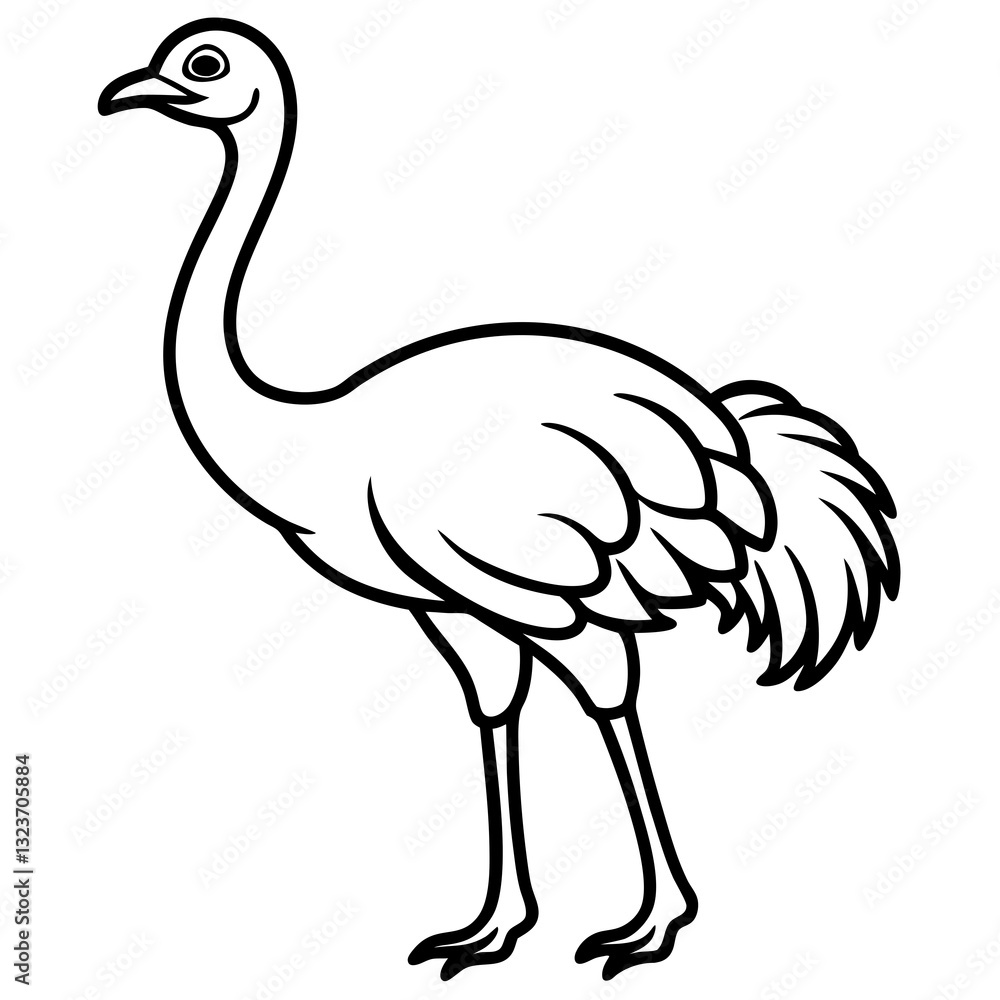 Elegant Single Line Ostrich Vector Illustration Elegant Single Line Ostrich Vector Illustration