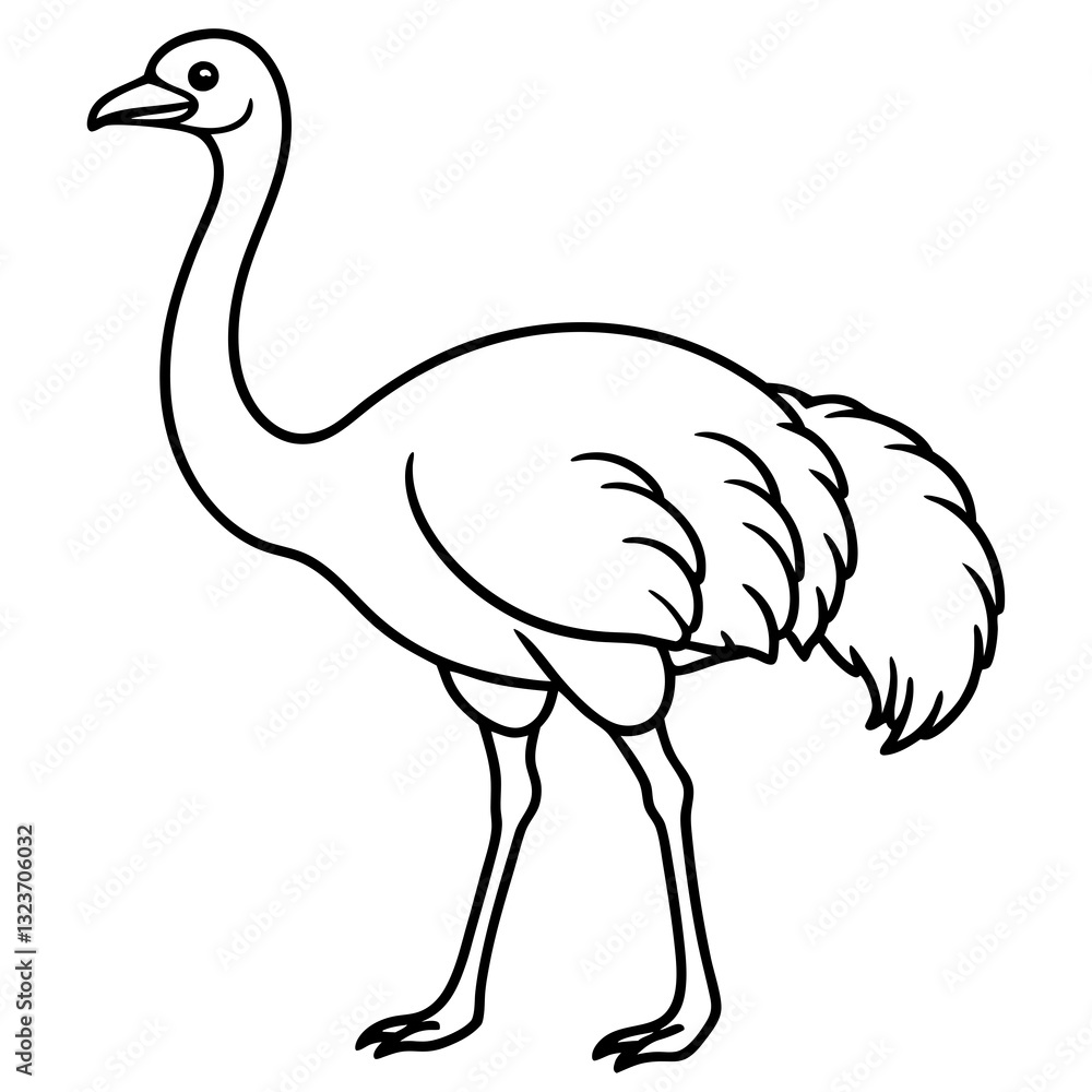 Elegant Single Line Ostrich Vector Illustration Elegant Single Line Ostrich Vector Illustration