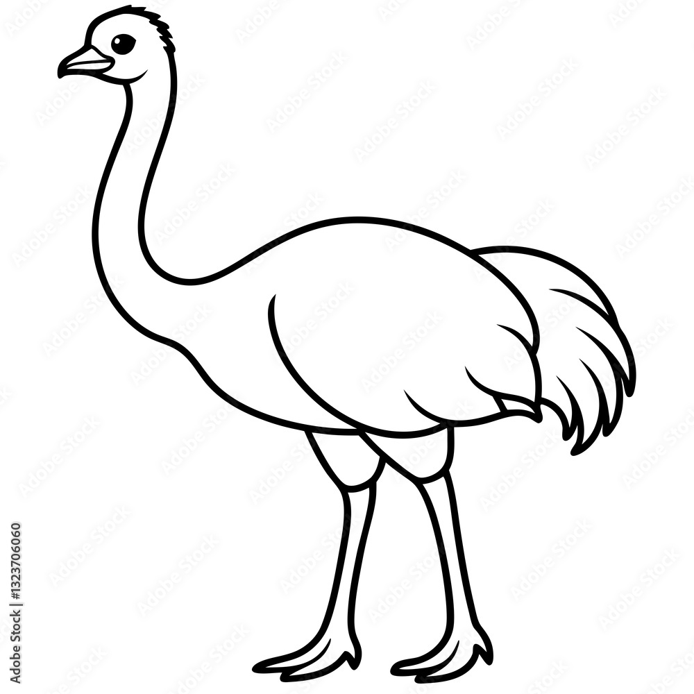 Elegant Single Line Ostrich Vector Illustration Elegant Single Line Ostrich Vector Illustration