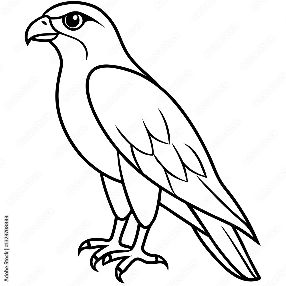 Obraz premium Falcon Line Art Vector