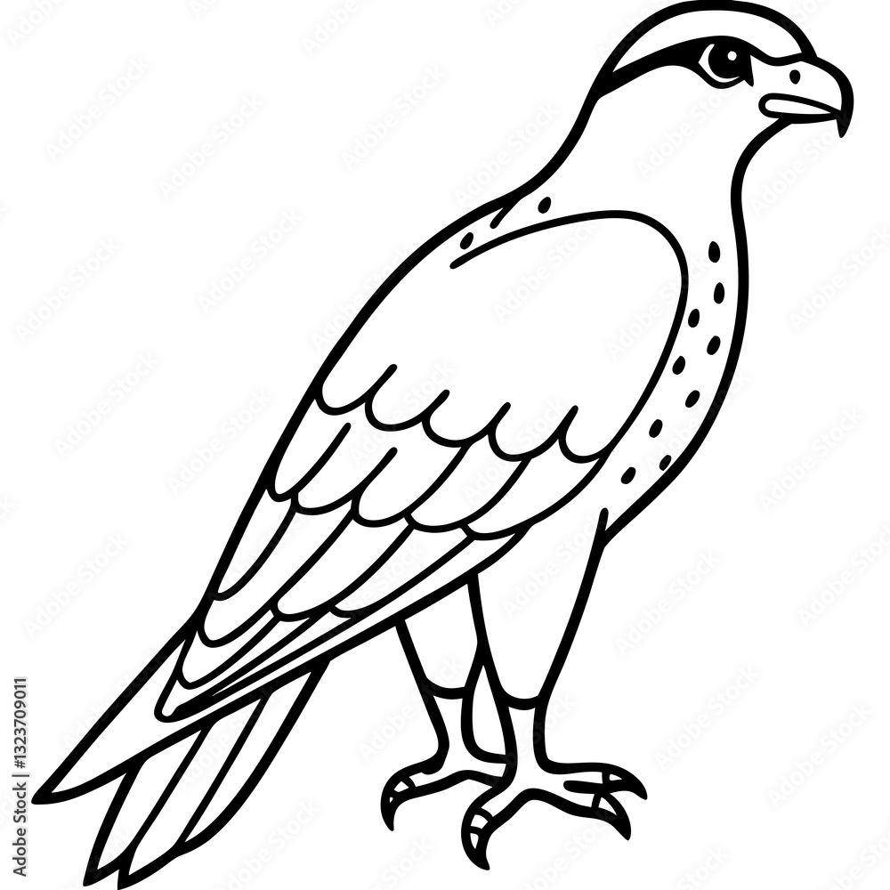 Obraz premium Falcon Line Art Vector