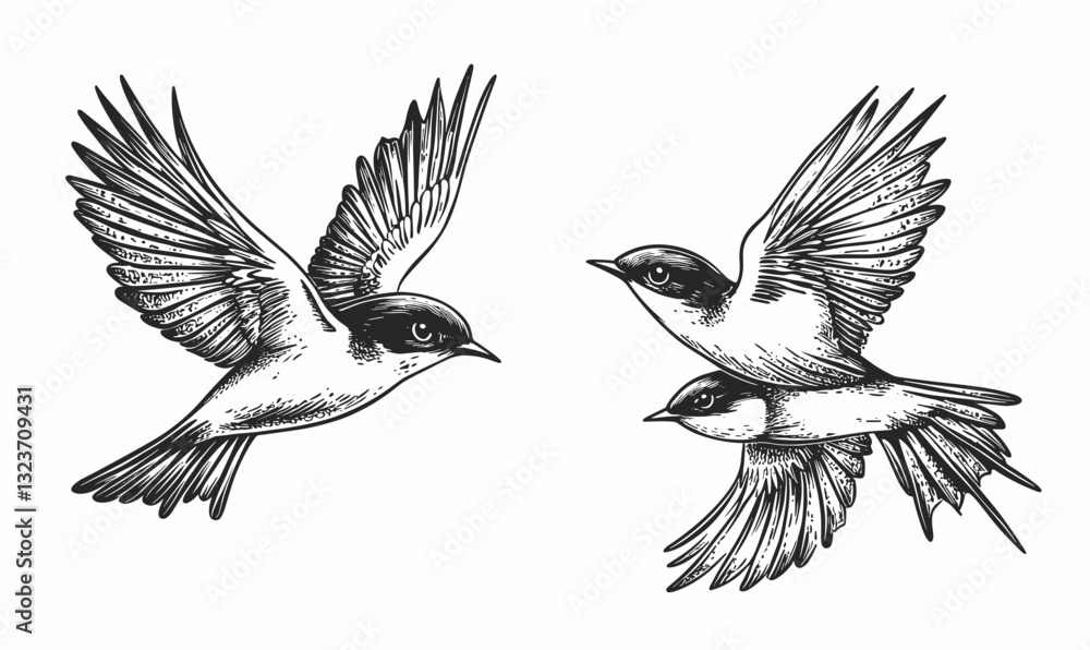 Fototapeta premium Swallows in flight vector; linear birds icons set.