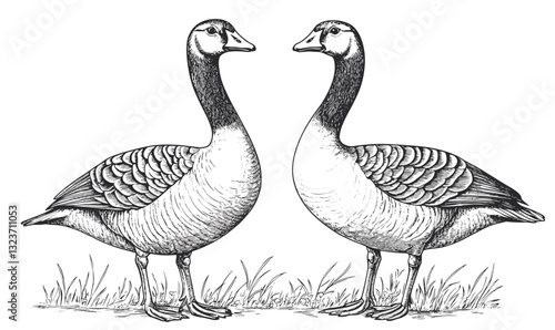 Two geese standing face to face in grass, linear style, icons set, vector.