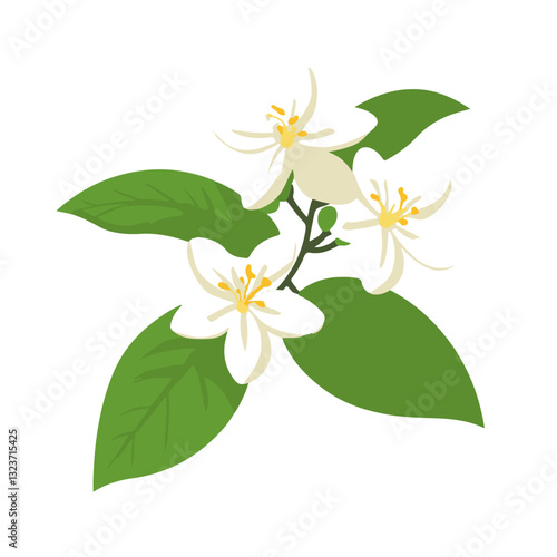 Simple flat 2D illustration white jasmine branch isolated on transparent background, vector, flat design, animation design, simple flat 2D icon, clipart