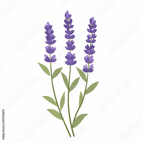 My Simple flat 2D illustration lavender branch isolated on transparent background, vector, flat design, animation design, simple flat 2D icon, clipart