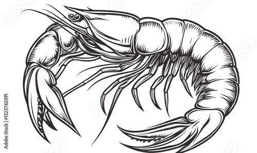 Shrimp line drawing icon set - detailed crustacean art - flat vector.