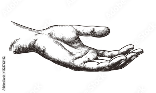 Outstretched human hand in linear style, vector, icons set.