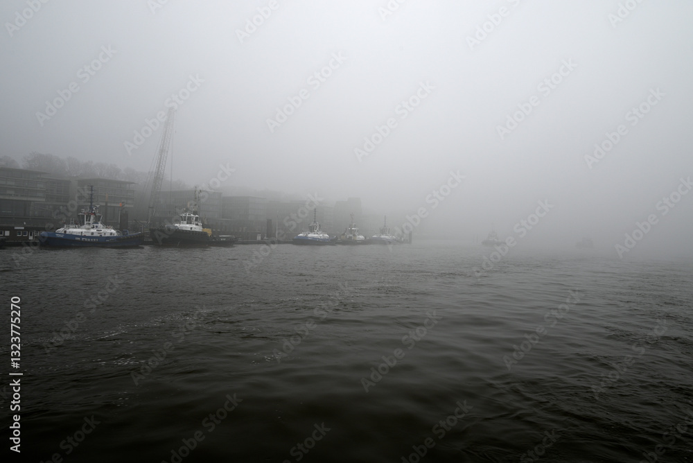 Fototapeta premium Foggy morning at the River Elbe, Hamburg, Germany