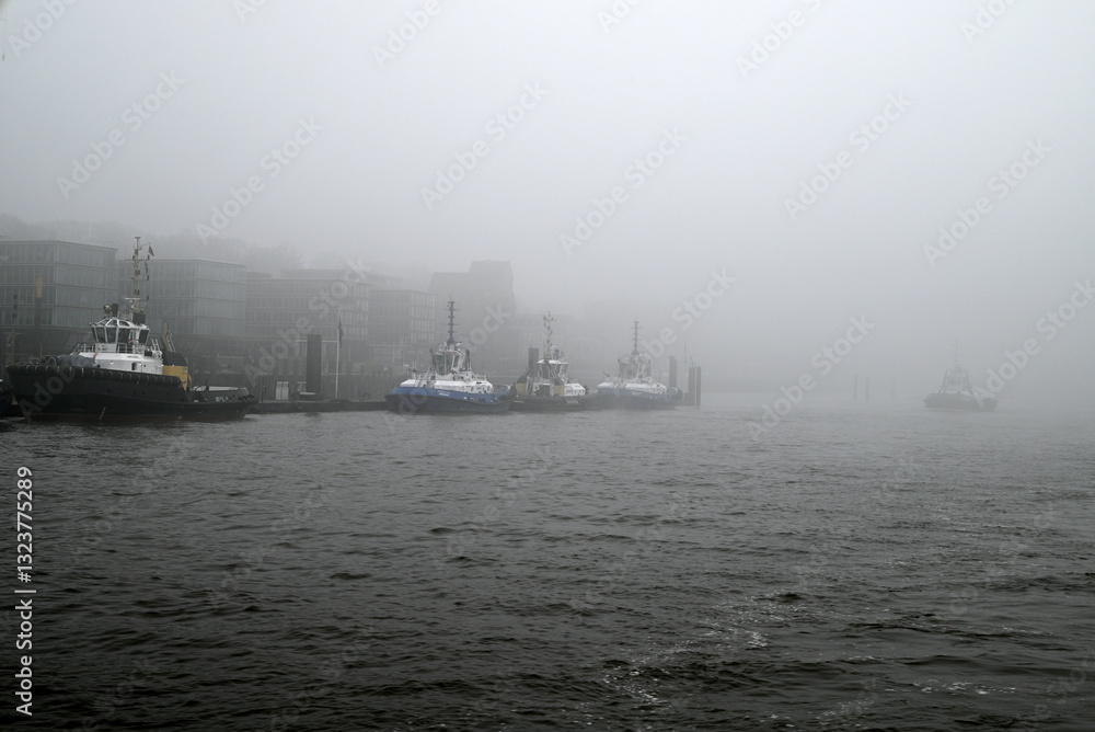 Foggy morning at the River Elbe, Hamburg, Germany