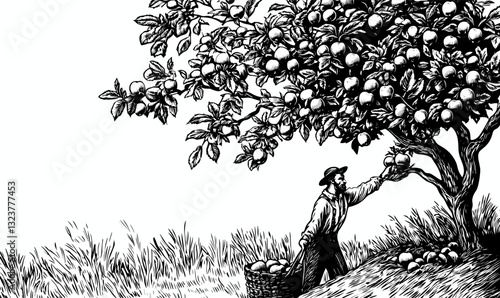 Farmer harvesting apples from tree with basket, black and white vector, linear, icons set.