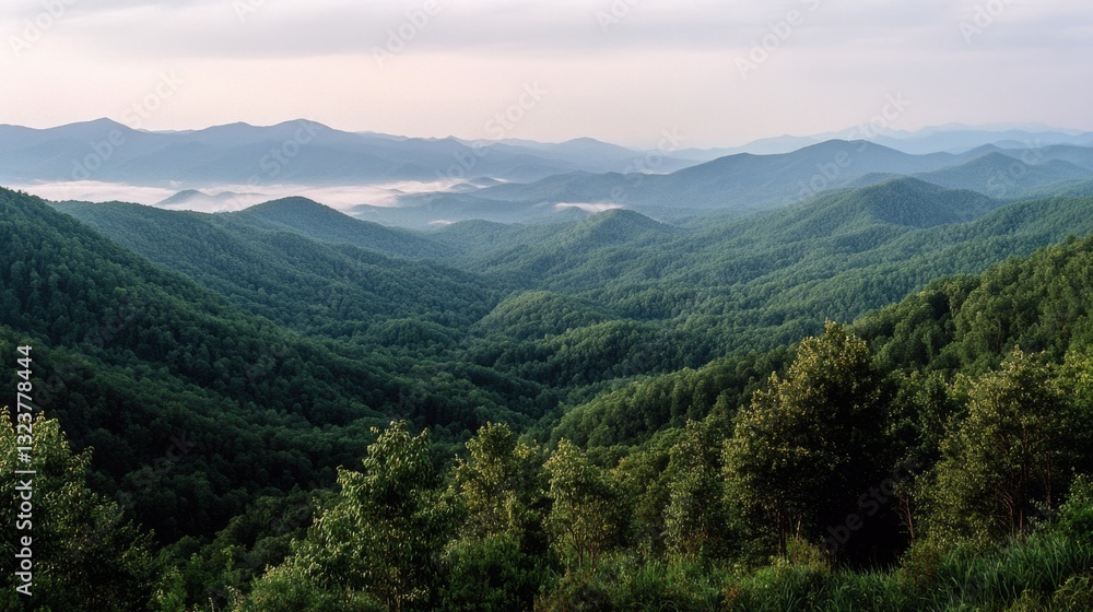 Rolling mountains stretch into the misty distance, covered in dense, lush forests under a soft, overcast sky, creating a breathtaking panorama. Rolling mountains stretch into the misty distance, covered in dense, lush forests under a soft, overcast sky, creating a breathtaking panorama.