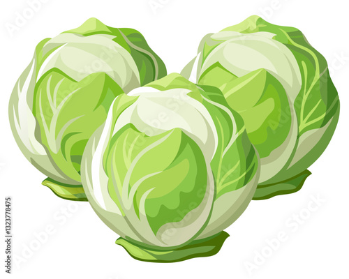 cabbage isolated on white background