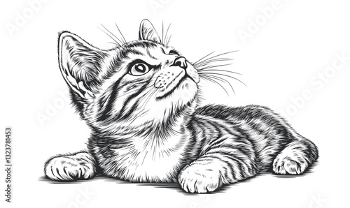 Playful tabby kitten looking up, black and white vector, linear style, icons set.