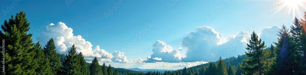 Tall pine trees against blue sky with clouds and sunlight, light, sky, landscape Tall pine trees against blue sky with clouds and sunlight, light, sky, landscape
