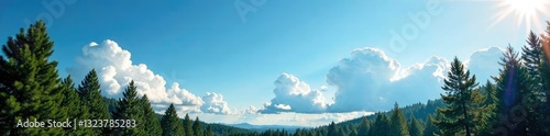 Tall pine trees against blue sky with clouds and sunlight, light, sky, landscape